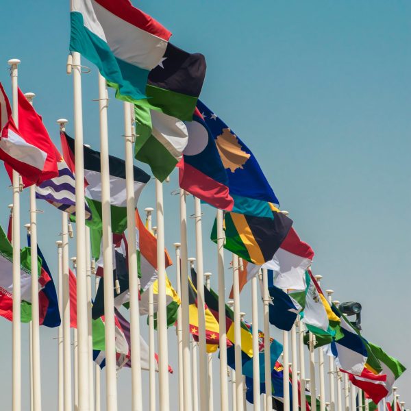 A variety of international flags waving on flagpoles under a clear blue sky.